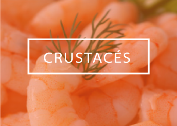 crustaces_2