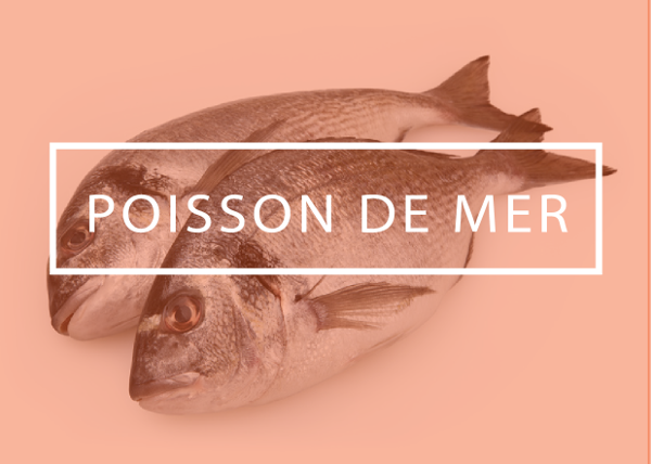 poisson_mer_2